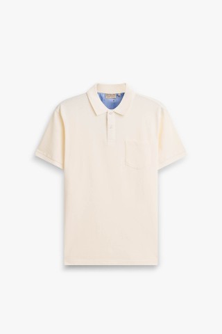 Polo Taschino