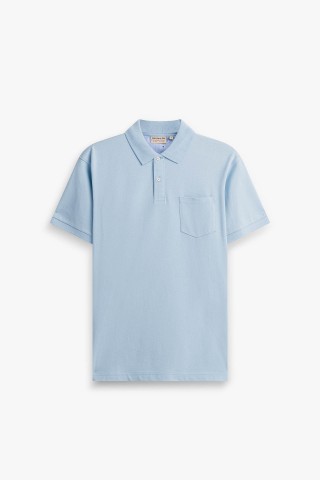 Polo Taschino